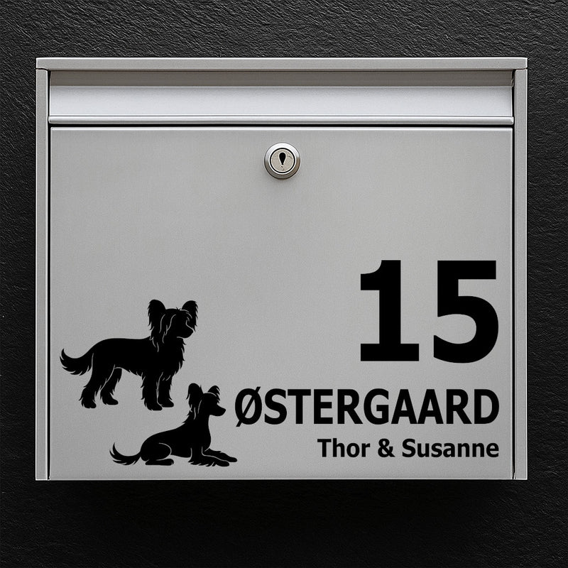 Brievenbussticker met Chinese Naakthond-motief - gepersonaliseerd naam-/huisnummerlabel in weerbestendig vinyl