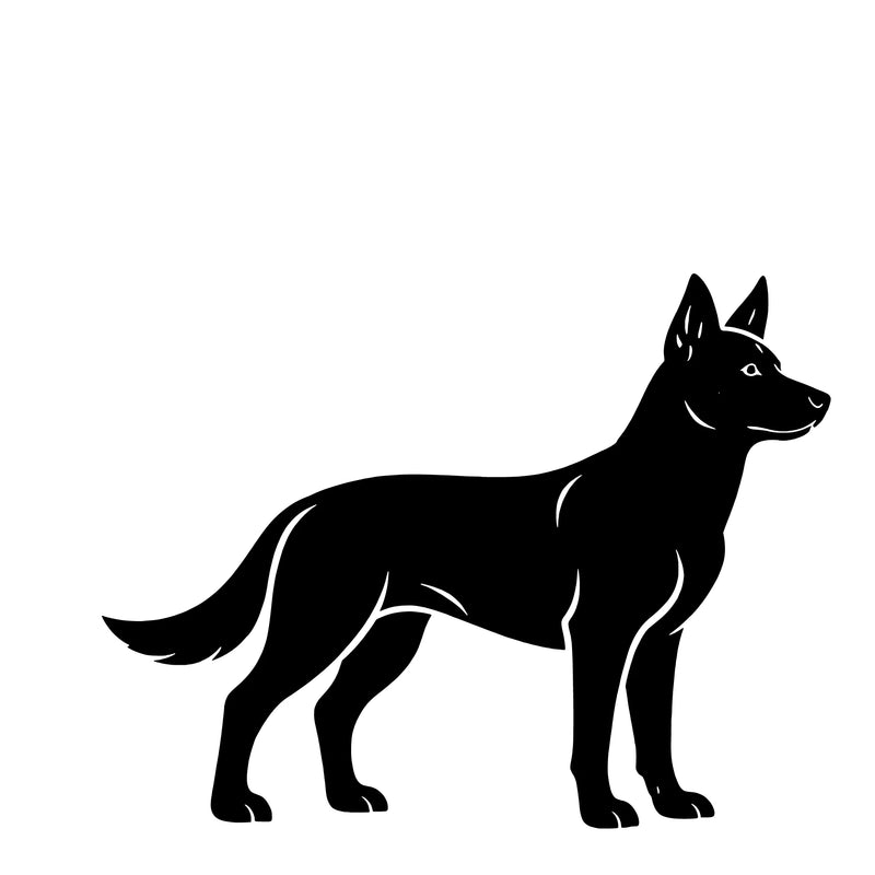 Australian Kelpie – Enkelen Motief Sticker