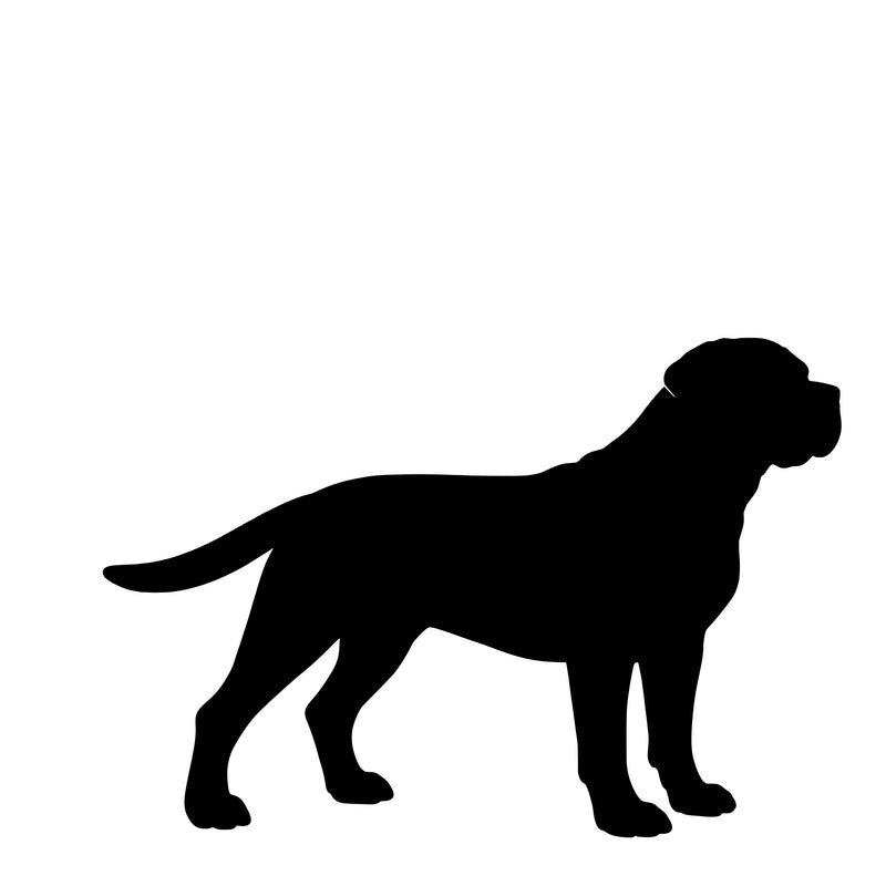 Cane Corso – Enkelen Motief Sticker