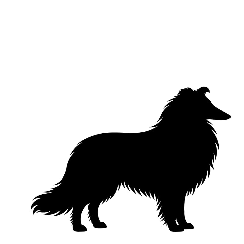 Langharige Collie – Enkelen Motief Sticker