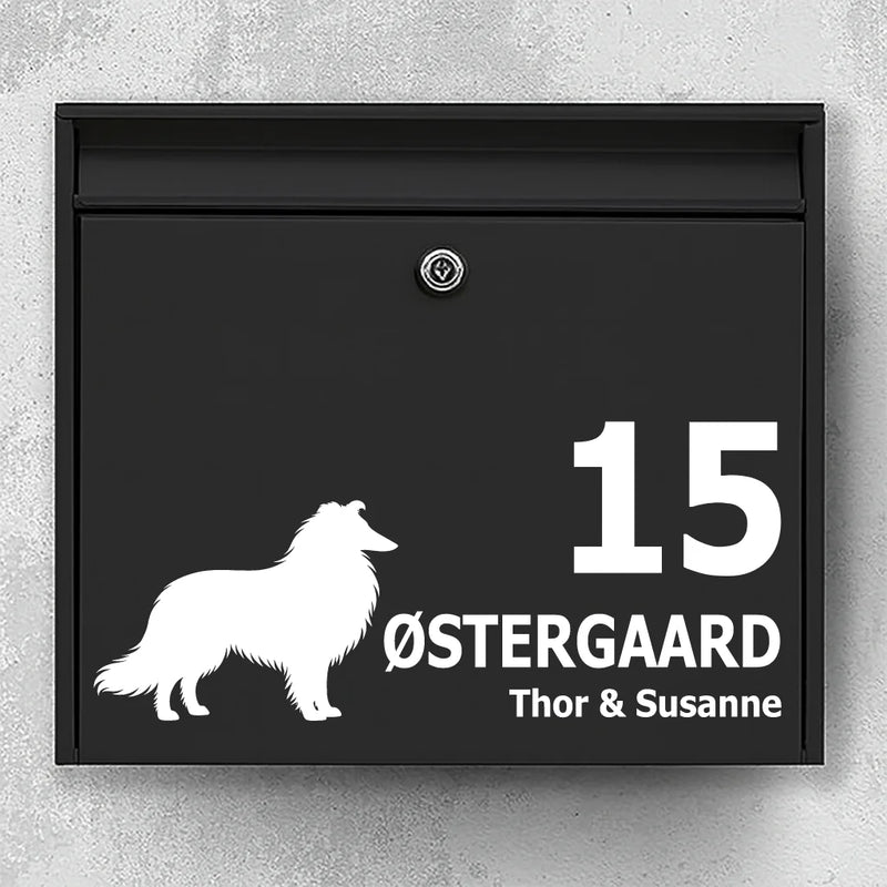 Brievenbussticker met Langharige Collie