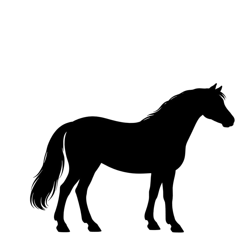 Connemara Pony– Enkelen Motief Sticker
