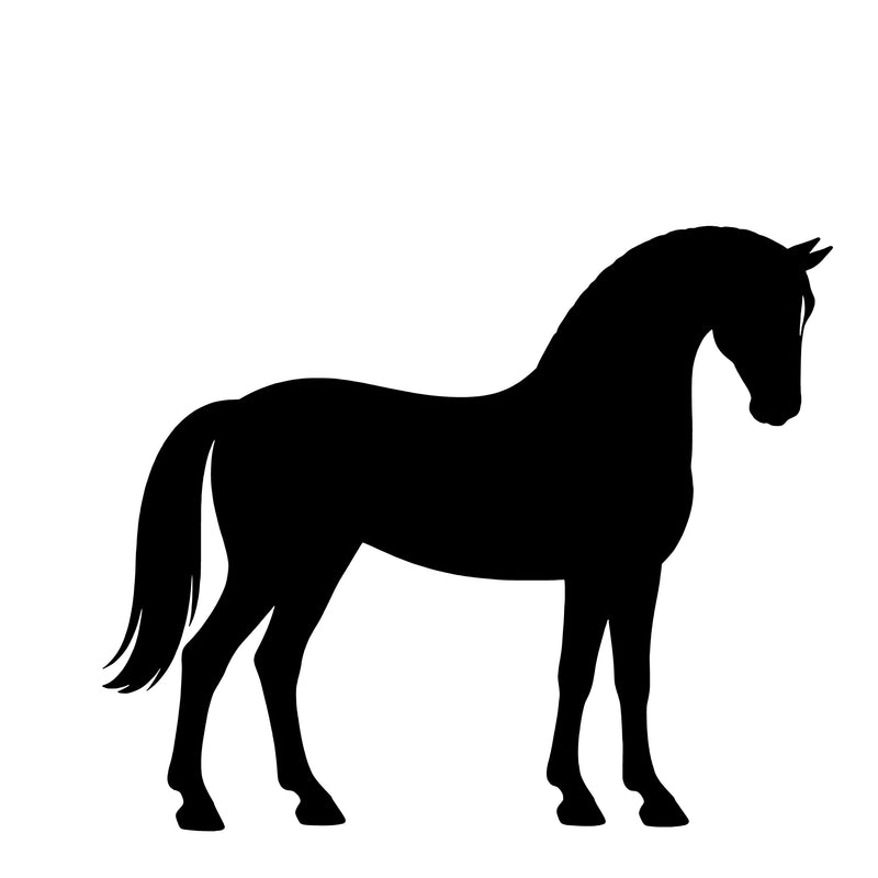 Deense Sportpony – Enkelen Motief Sticker