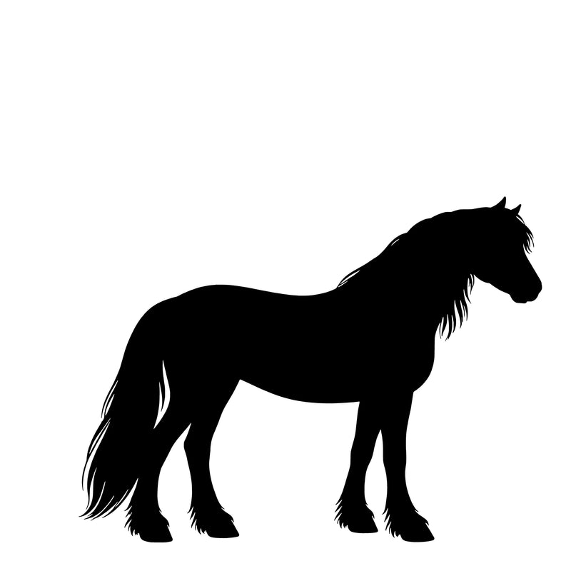 Fell Pony – Enkelen Motief Sticker
