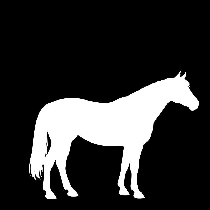 Pinto – Enkelen Motief Sticker