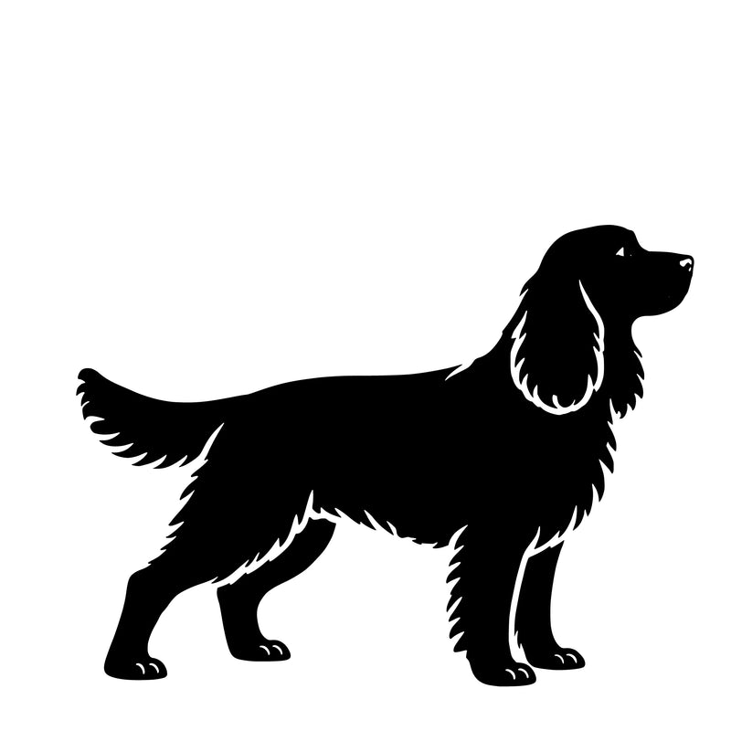 Springer spaniel – Enkelen Motief Sticker