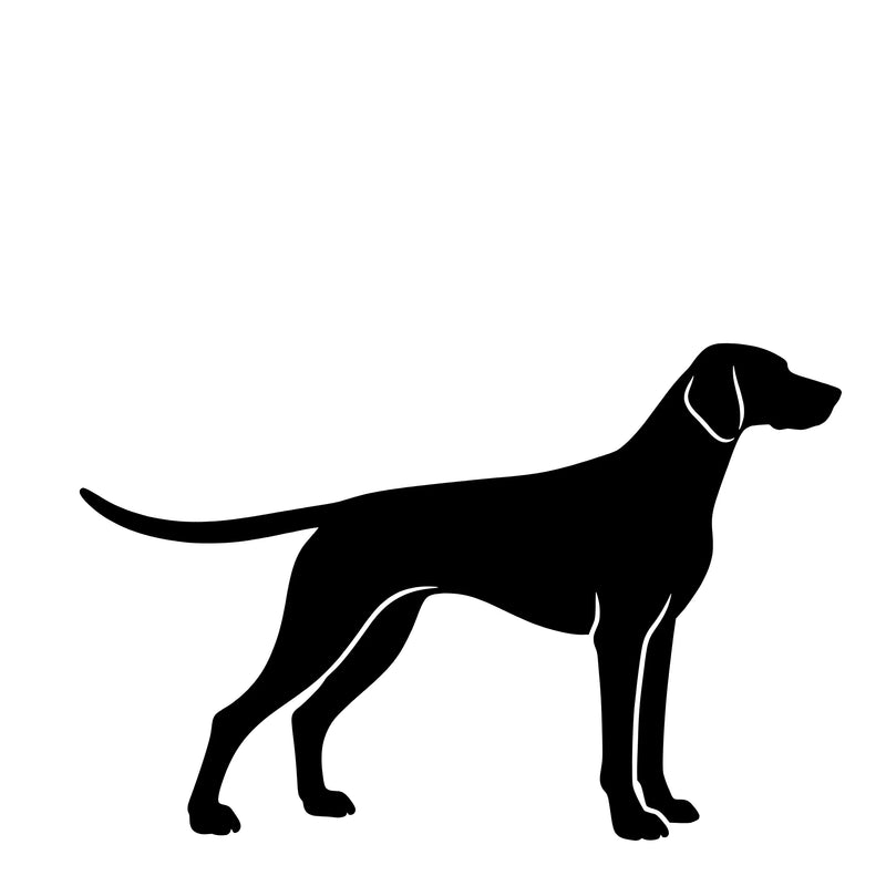 Duitse Kortharige Staande Hond – Enkelen Motief Sticker