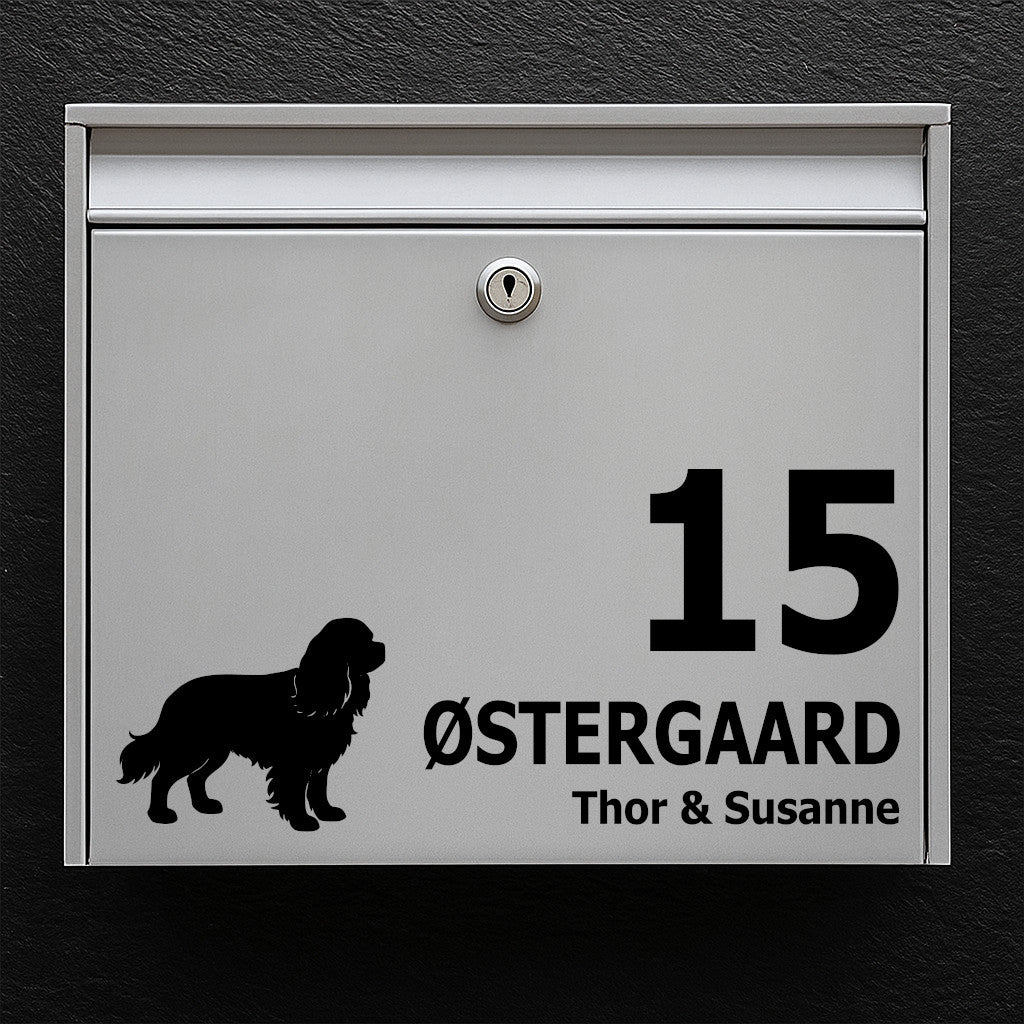 Naambordje voor brievenbus - hondenmotief: Cavalier King Charles - personaliseer naam en huisnummer - robuuste buitensticker