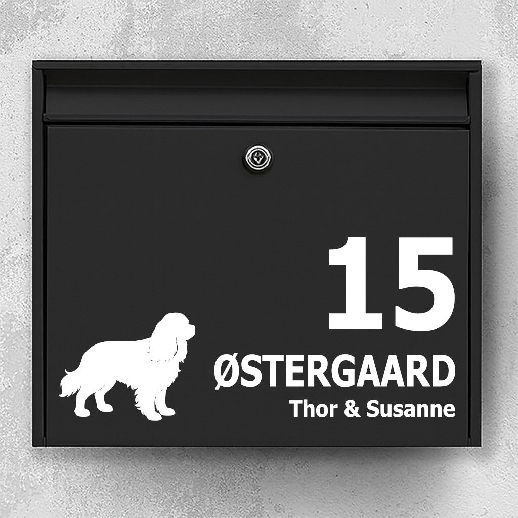 Cavalier King Charles Spaniel brievenbussticker - gepersonaliseerd naamplaatje en huisnummer - weerbestendig vinyl