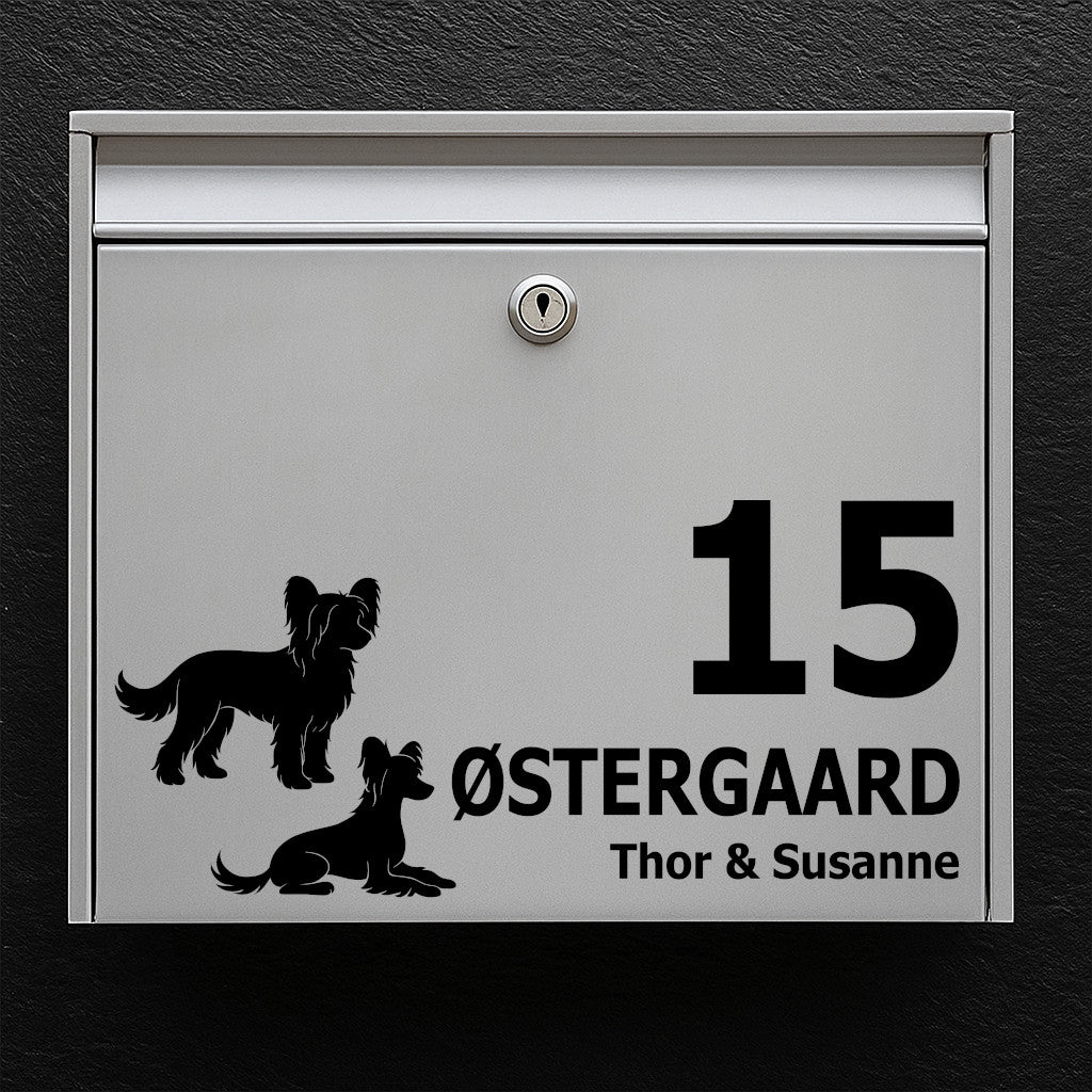 Brievenbussticker met Chinese Naakthond-motief - gepersonaliseerd naam-/huisnummerlabel in weerbestendig vinyl