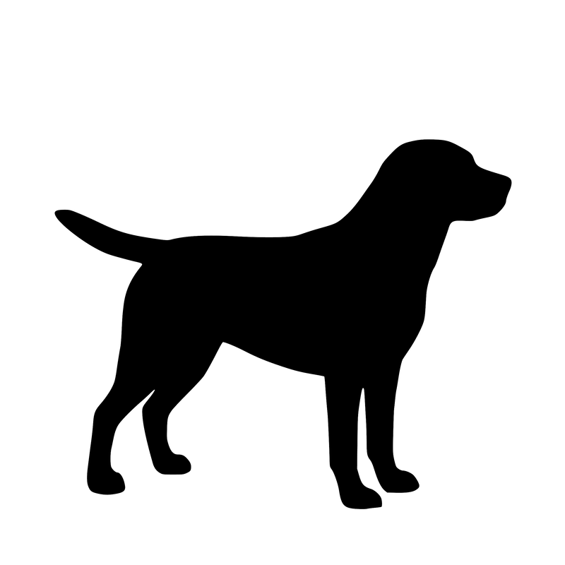 Labrador Retriever – Enkelen Motief Sticker