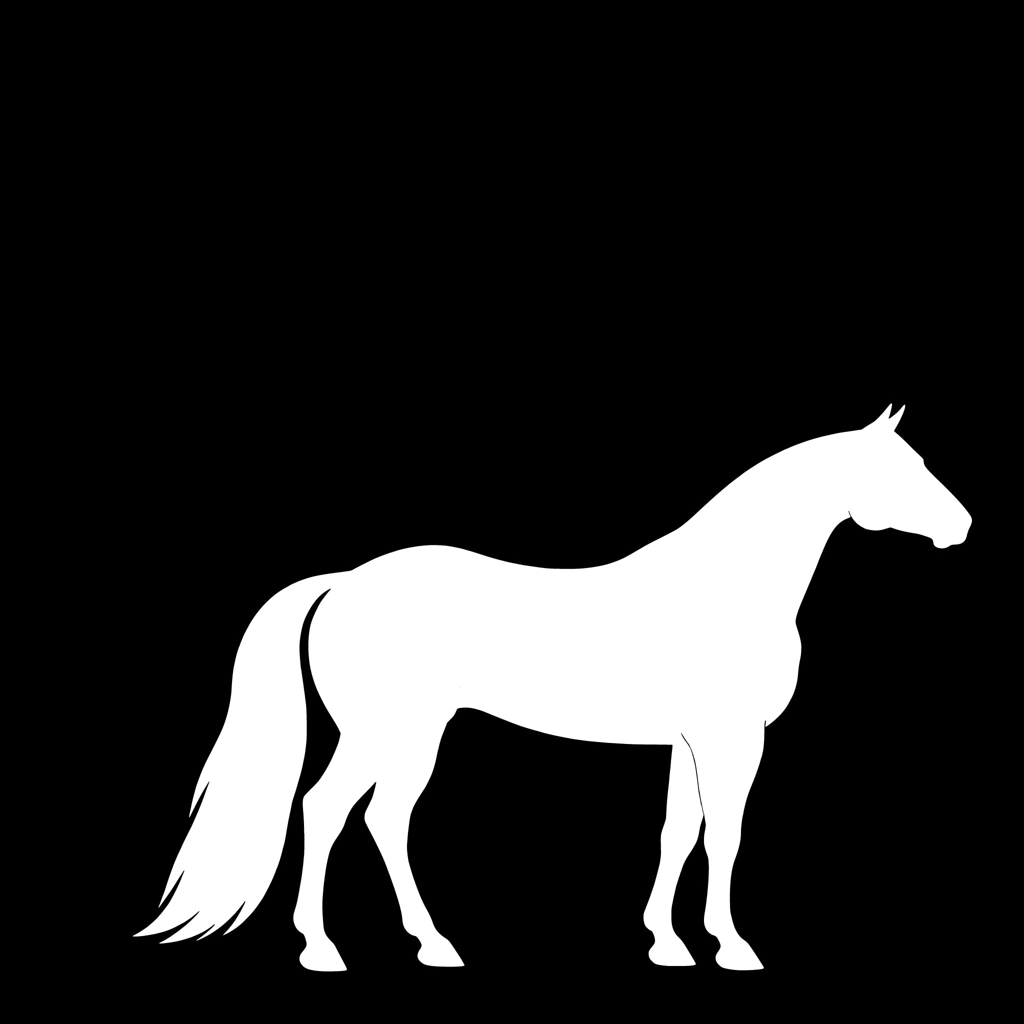  American Quarter Horse – Enkelen Motief Sticker