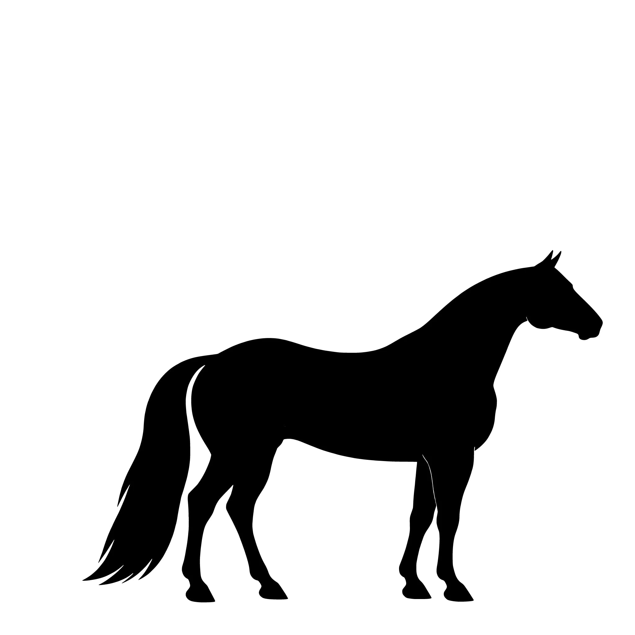  American Quarter Horse – Enkelen Motief Sticker