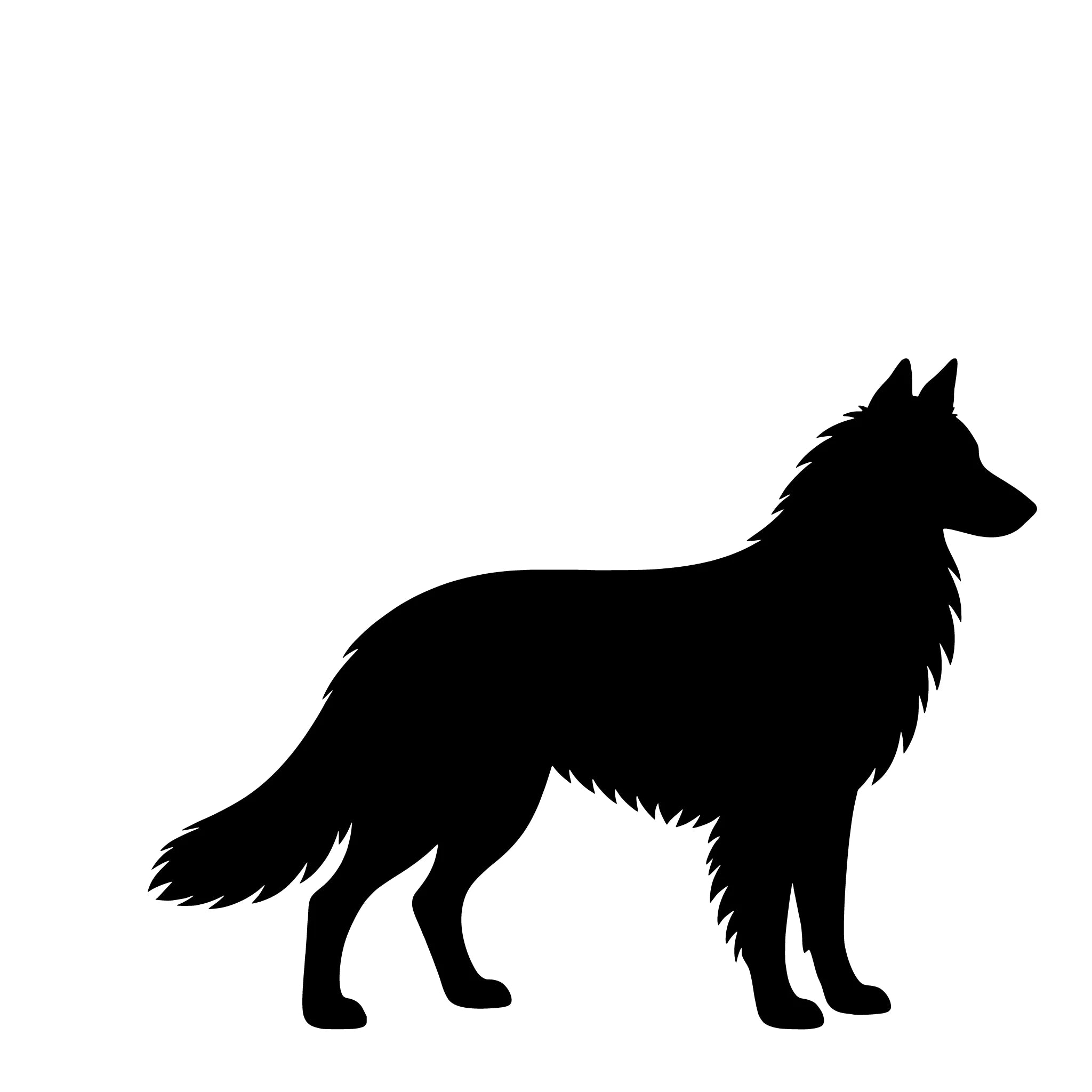 Belgische Herder (Tervueren) – Enkelen Motief Sticker