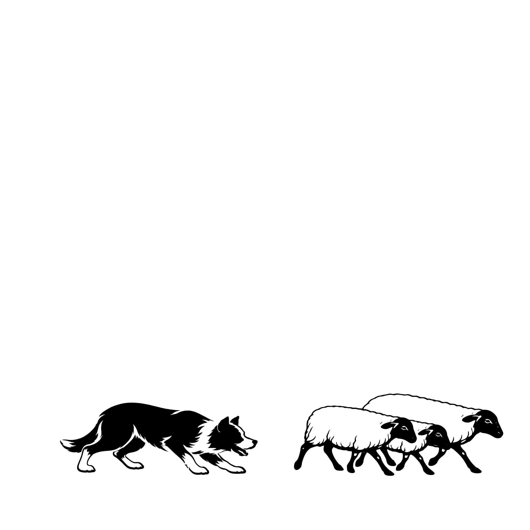 Bordercollie die Schapen Hoedt – Enkelen Motief Sticker