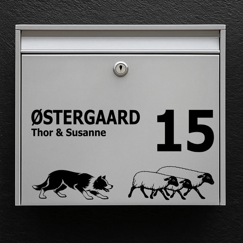Brievenbussticker met Border Collie met schapen