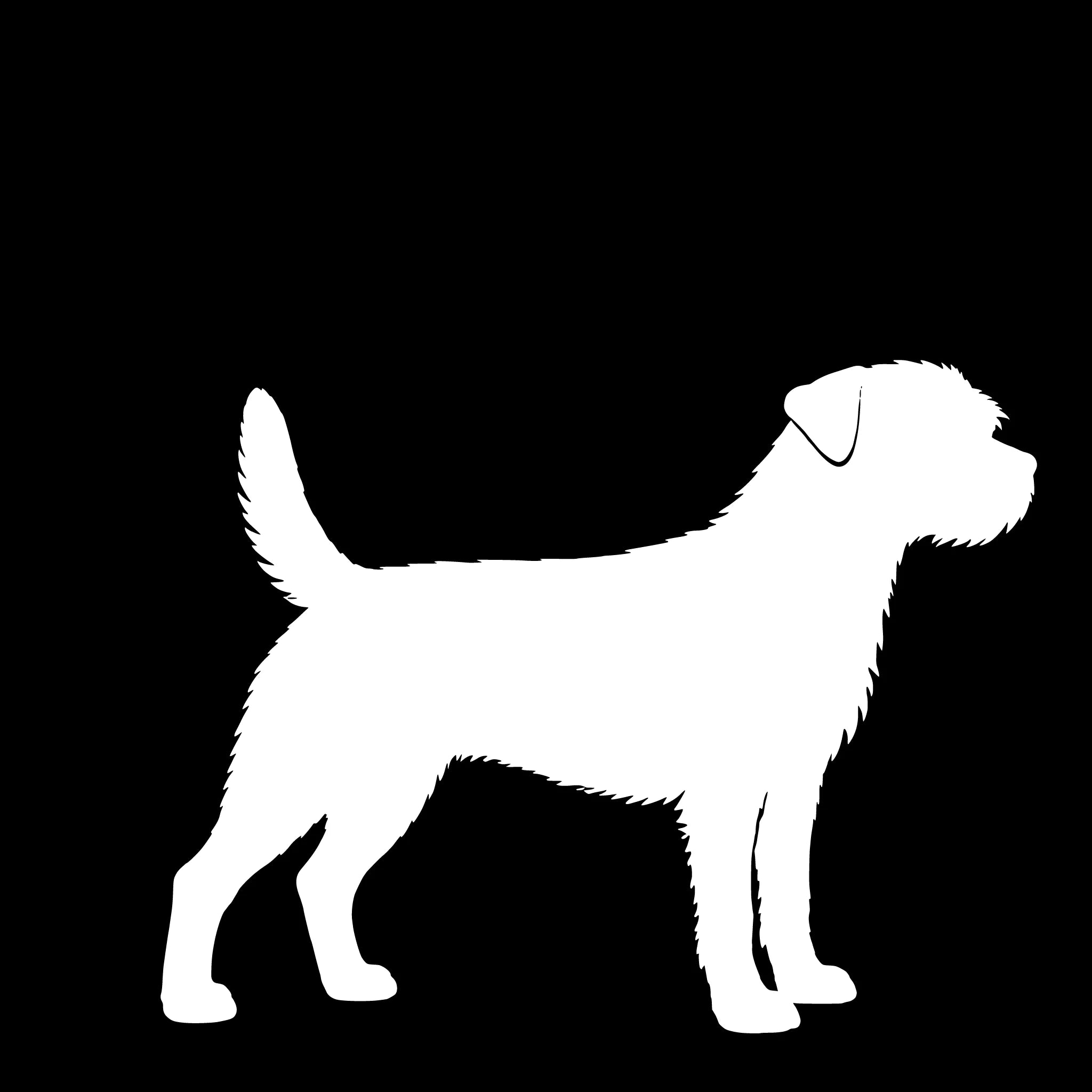 Border terriër – Enkelen Motief Sticker