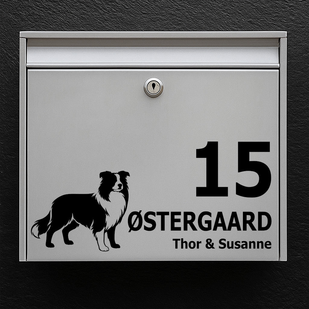 Brievenbussticker met border collie