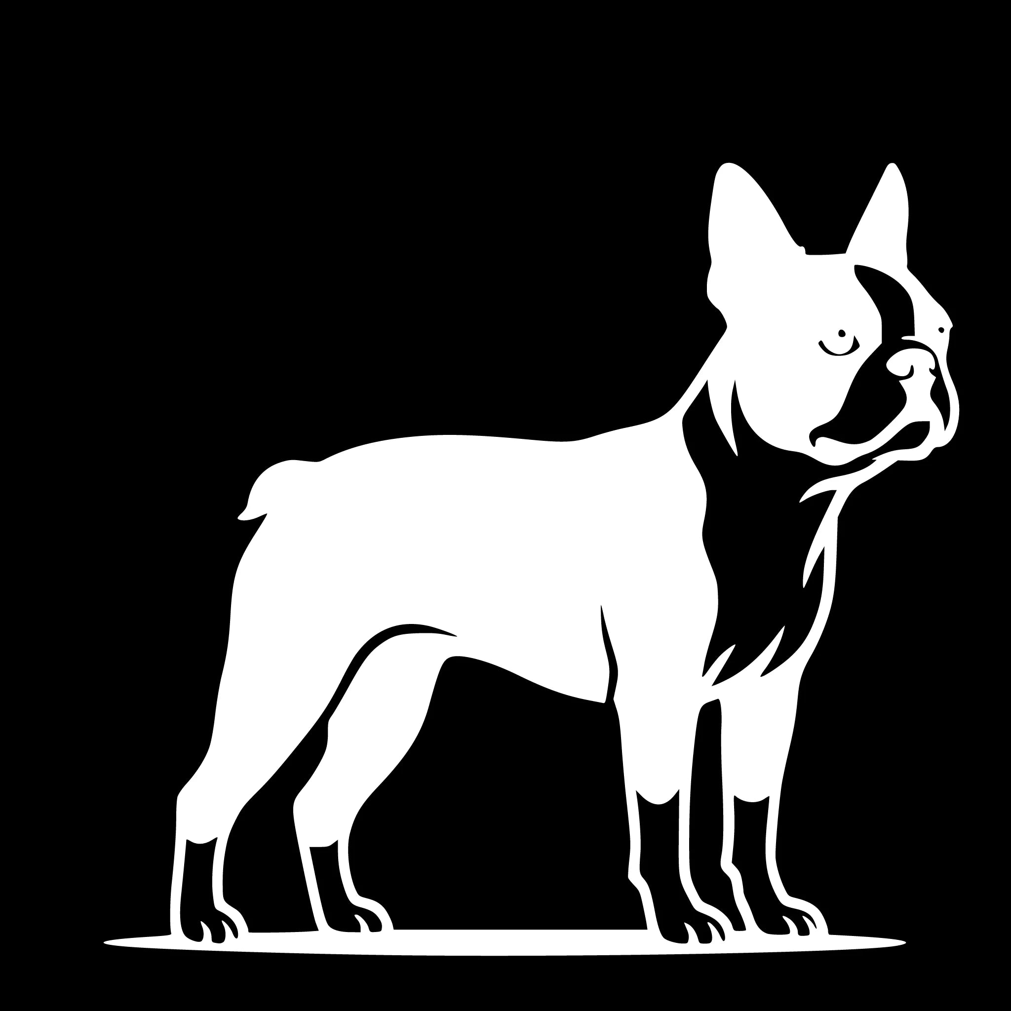 Boston Terrier – Enkelen Motief Sticker