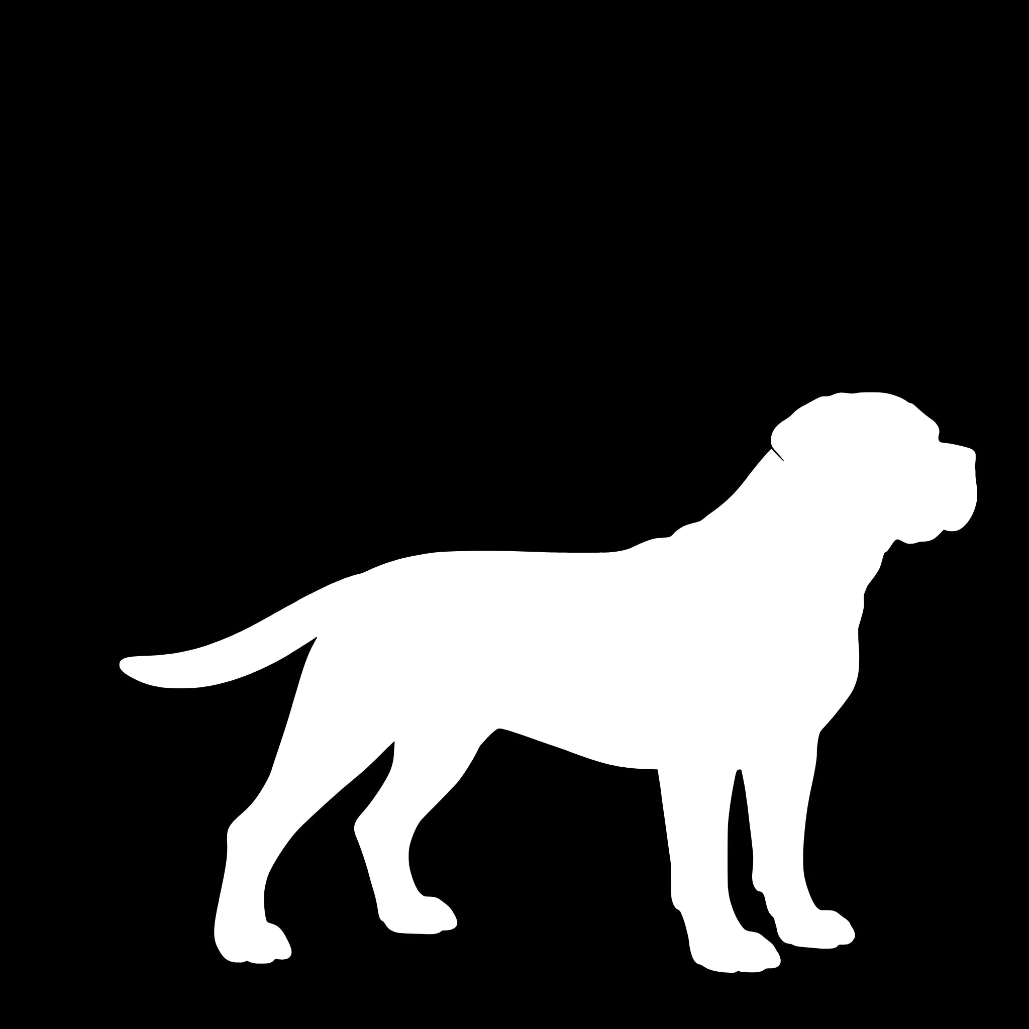 Cane Corso – Enkelen Motief Sticker