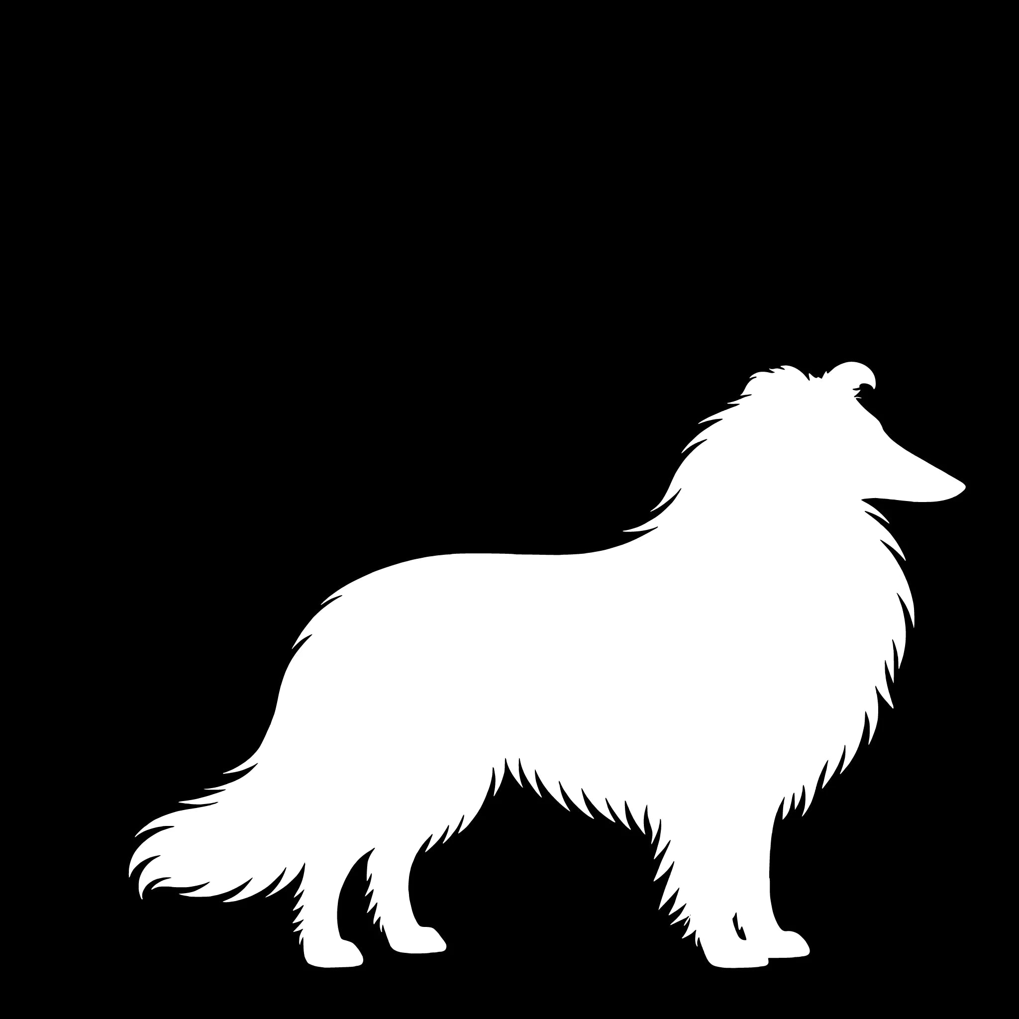 Langharige Collie – Enkelen Motief Sticker