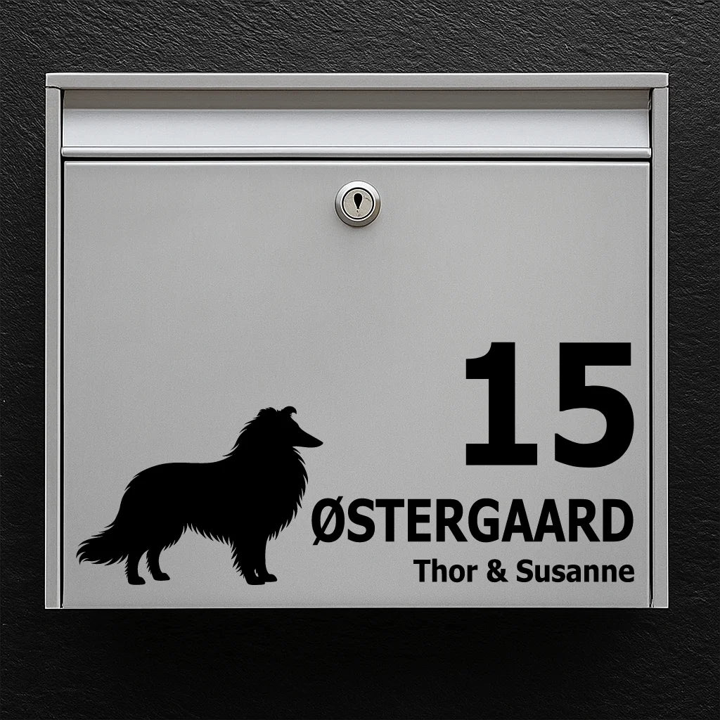 Brievenbussticker met Langharige Collie