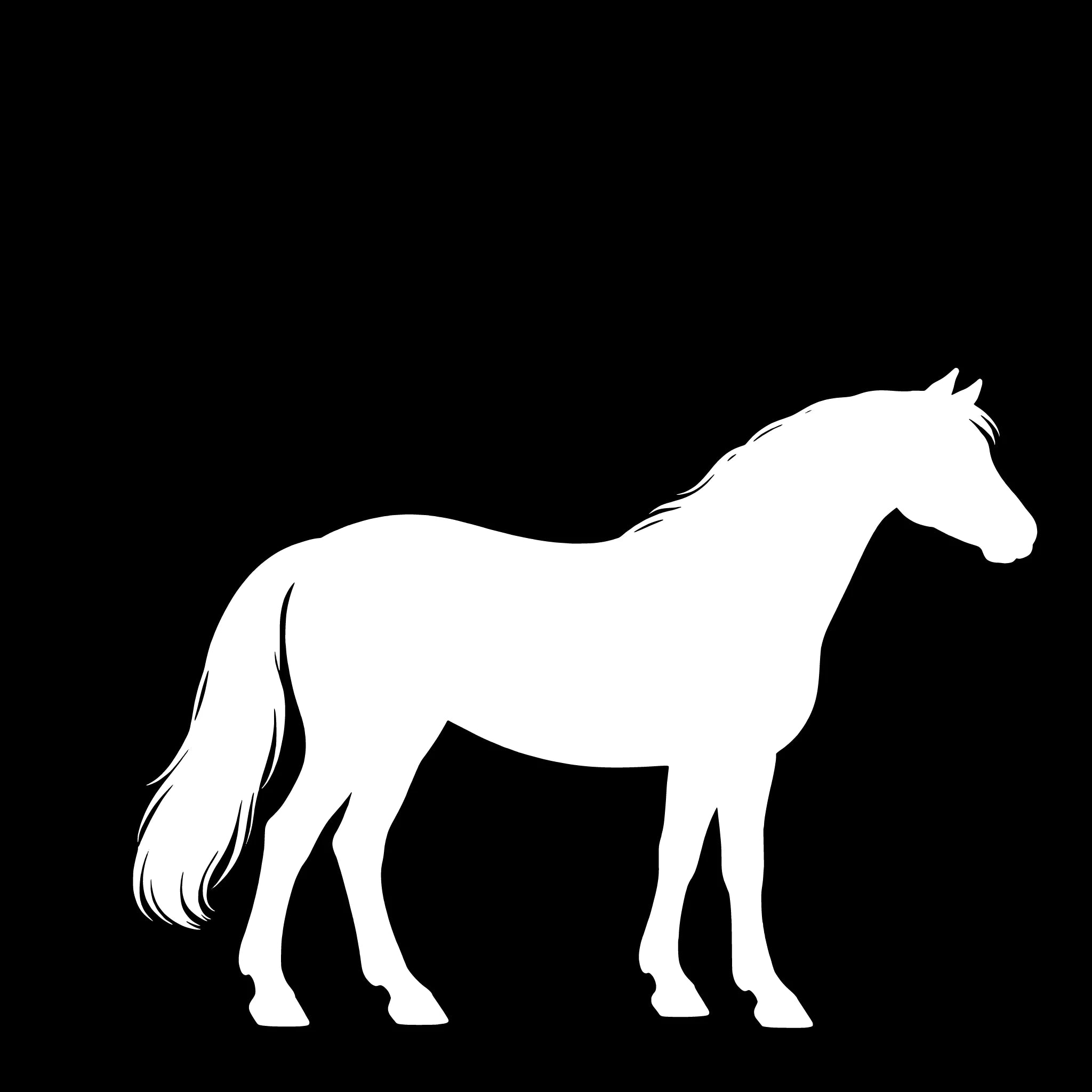 Connemara Pony– Enkelen Motief Sticker