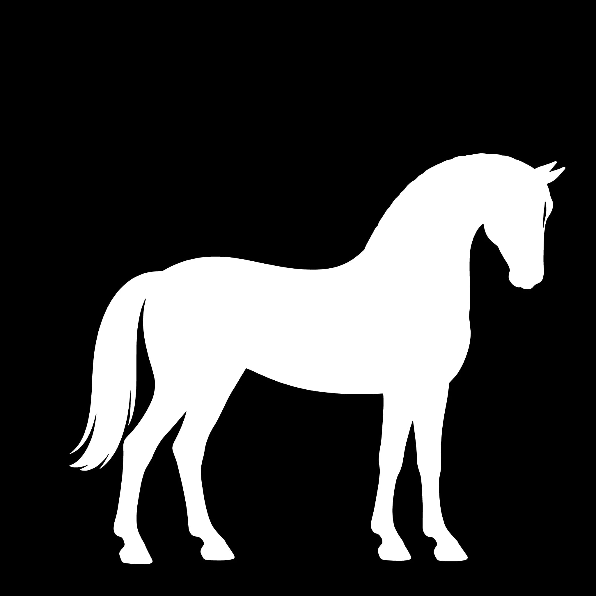 Deense Sportpony – Enkelen Motief Sticker