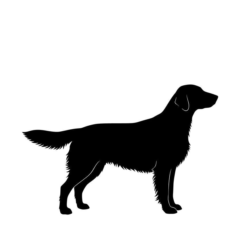 Flat Coated Retriever – Enkelen Motief Sticker