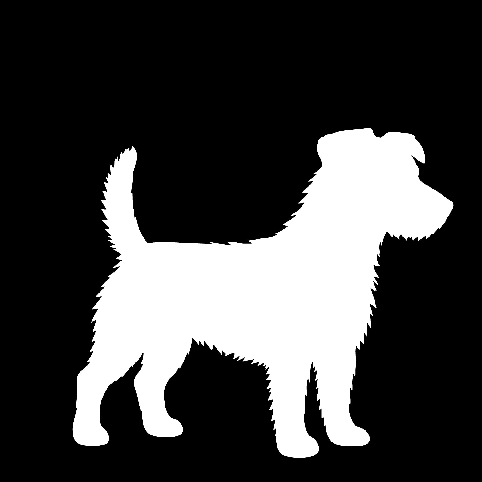 Jack Russell Terriër (ruwhaar) – Enkelen Motief Sticker