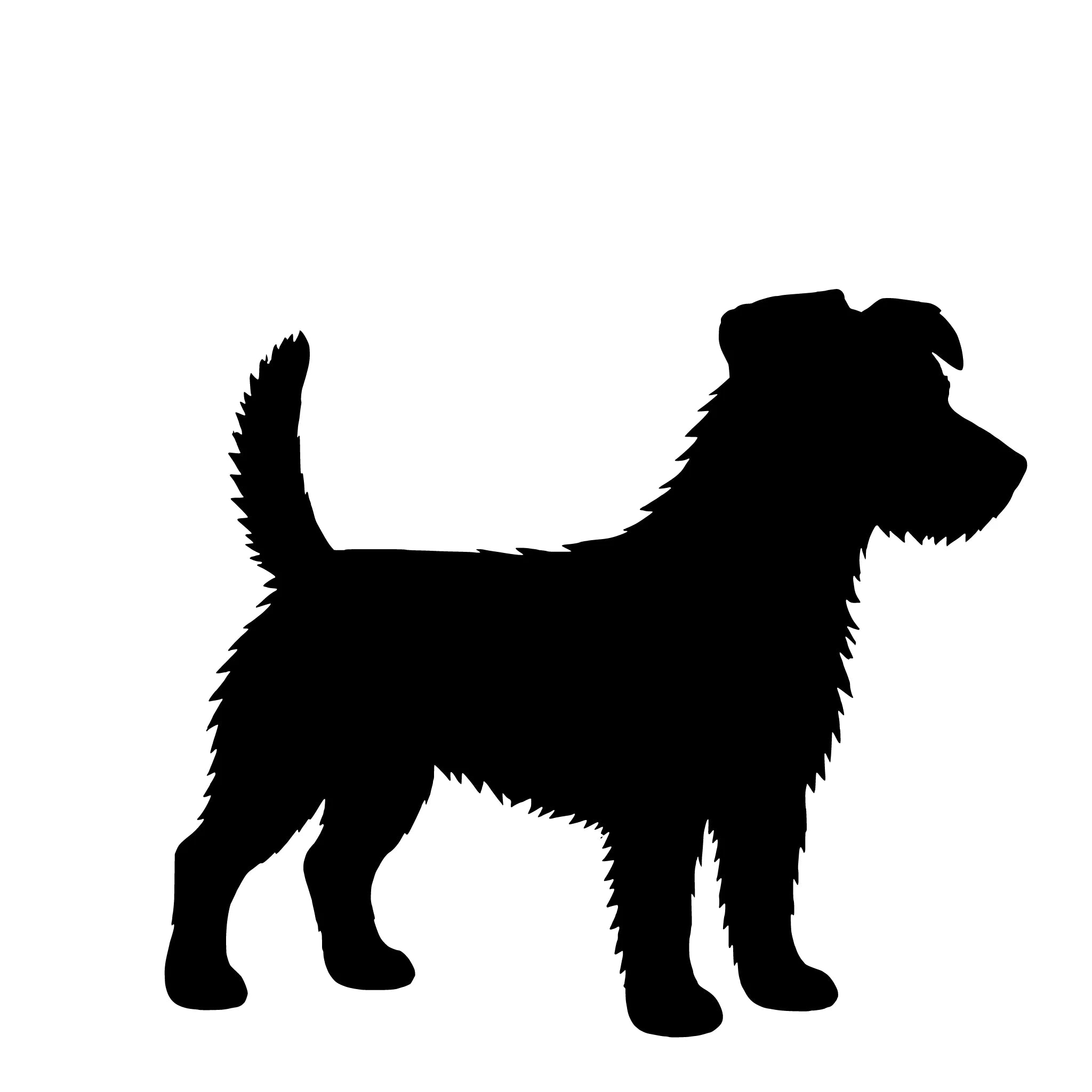 Jack Russell Terriër (ruwhaar) – Enkelen Motief Sticker