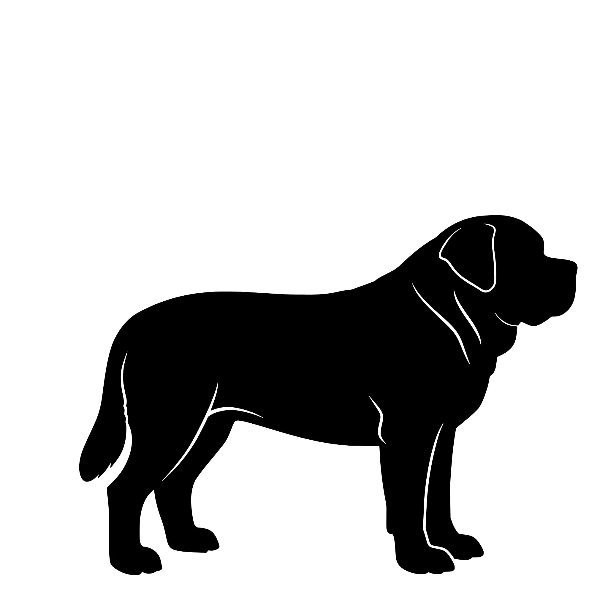 Kortharige Sint-Bernard – Enkelen Motief Sticker