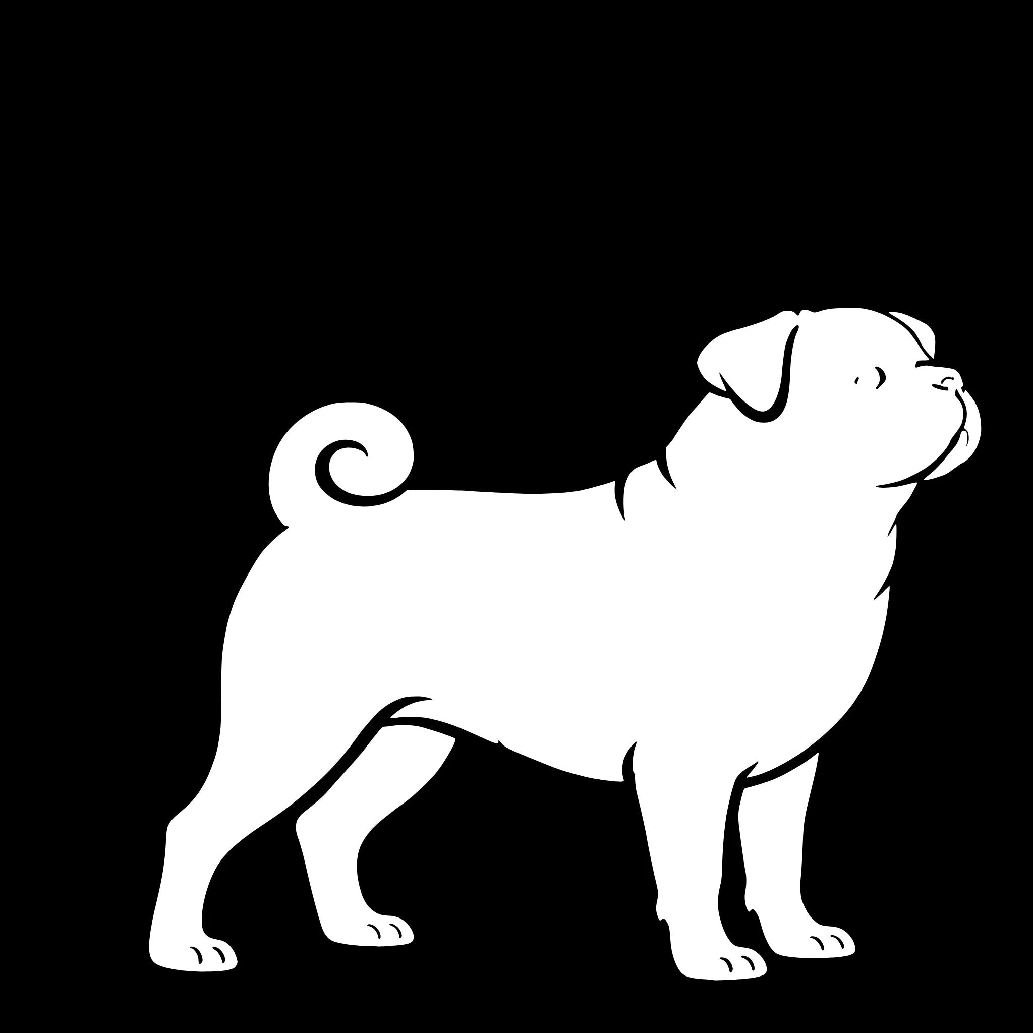 Mops (Pug) – Enkelen Motief Sticker