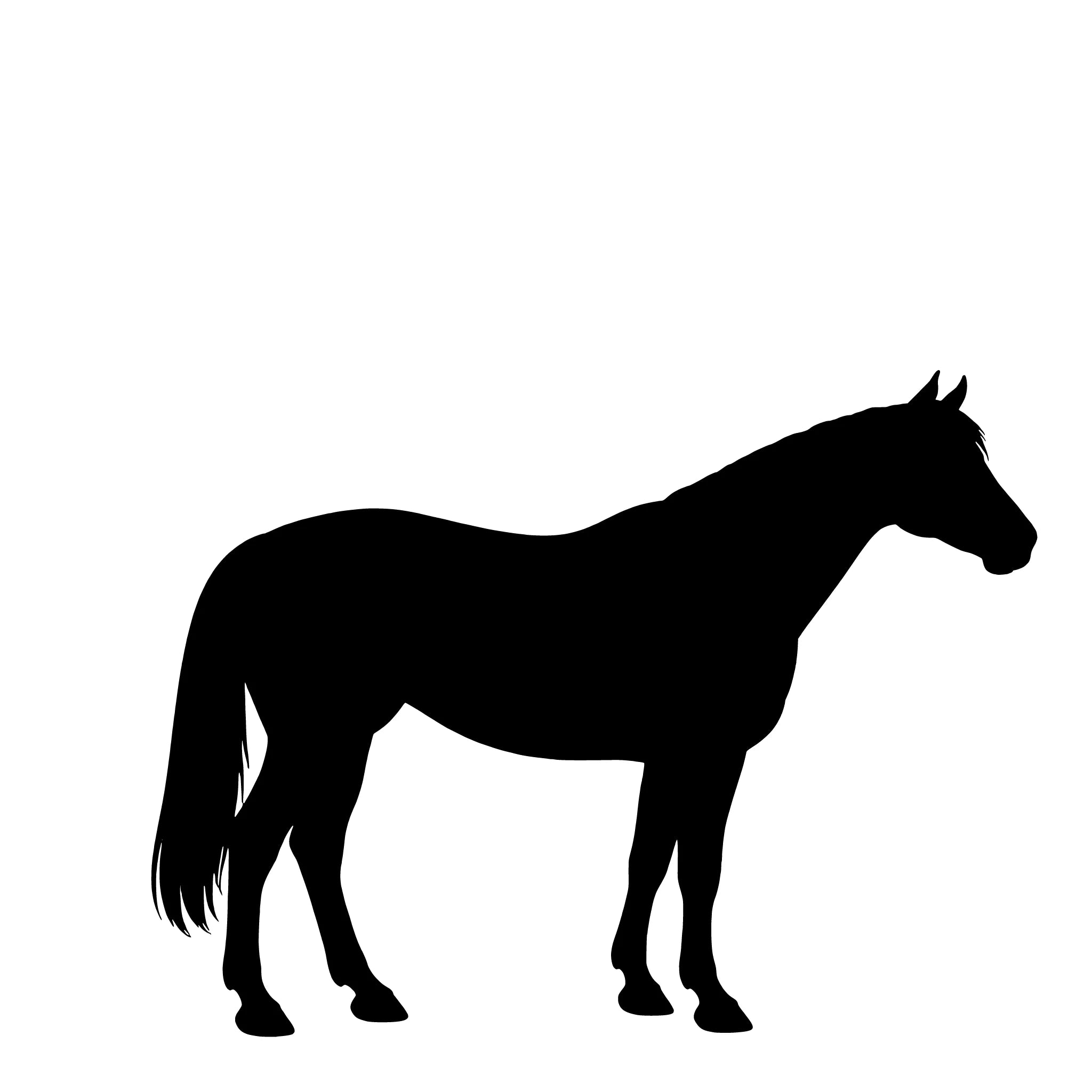 Pinto – Enkelen Motief Sticker