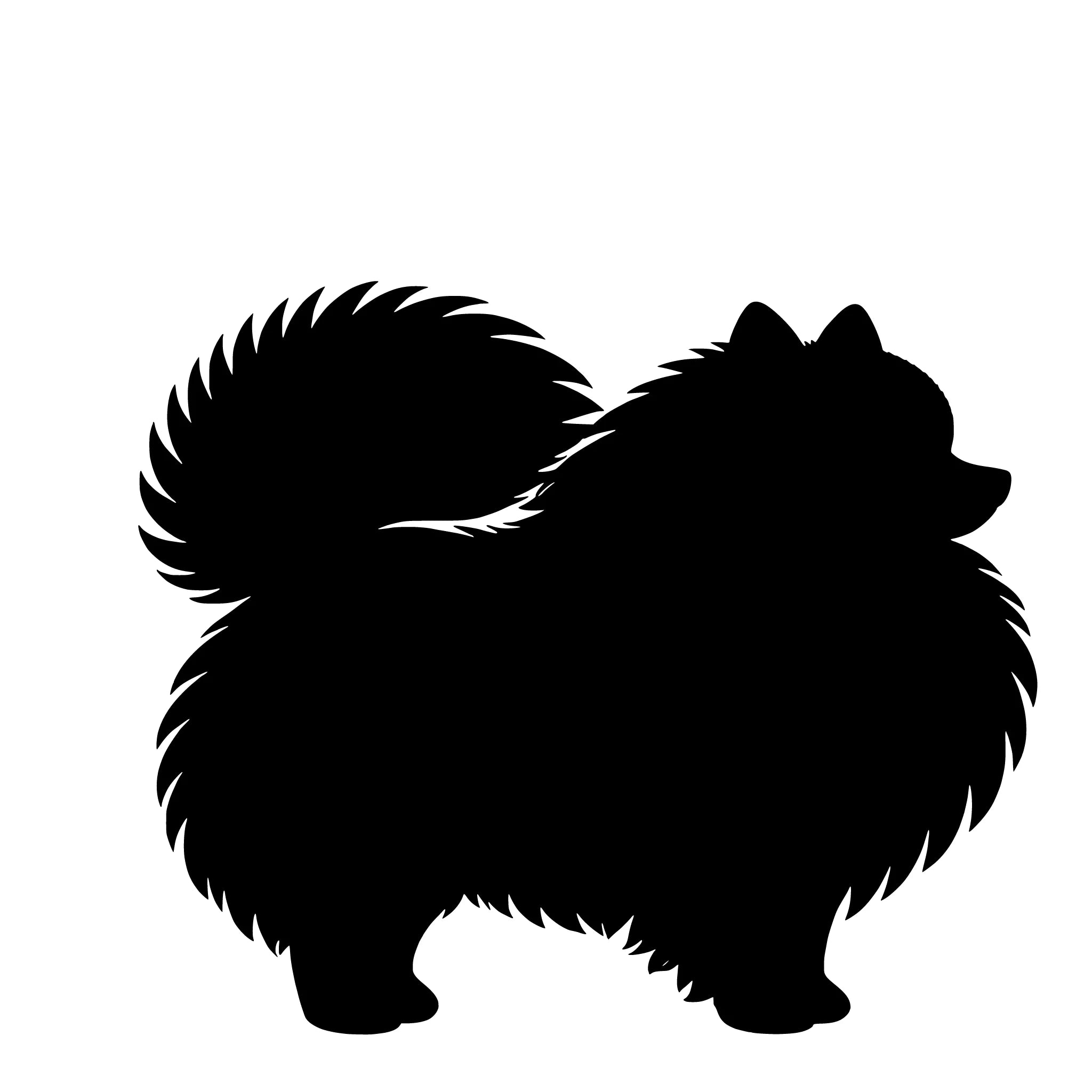 Pomeriaan – Enkelen Motief Sticker