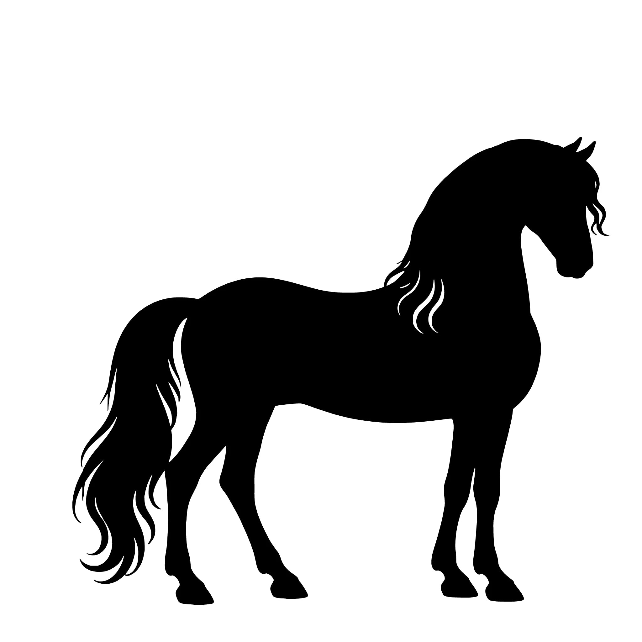 PRE / Andalusiër – Enkelen Motief Sticker