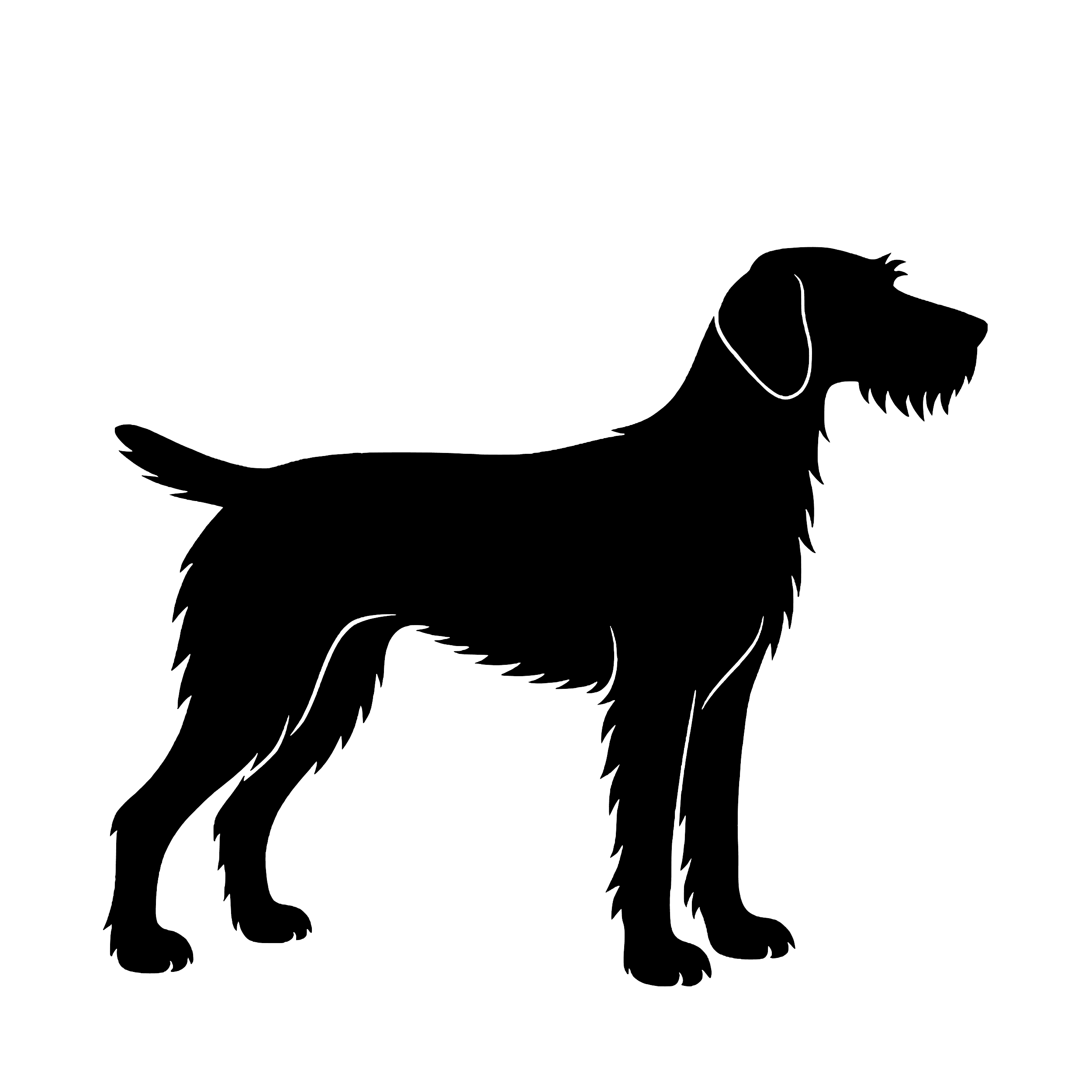 Draadhaar Staande Hond – Enkelen Motief Sticker