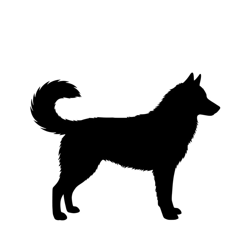 Siberian Husky – Enkelen Motief Sticker