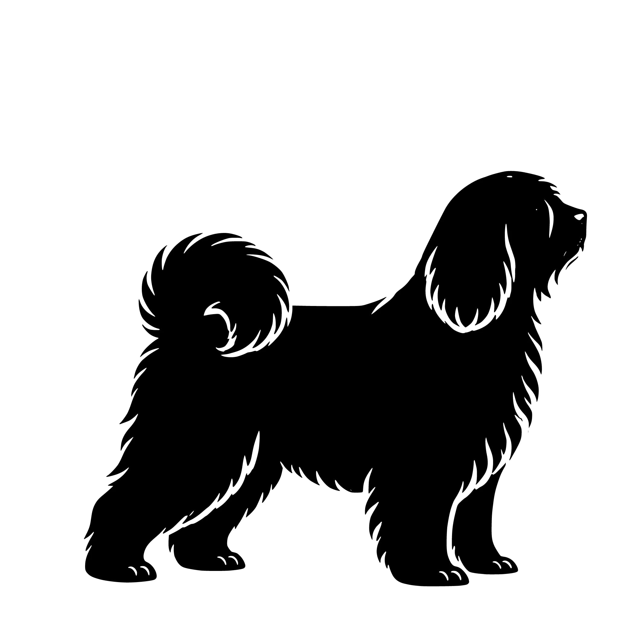 Tibetaanse terriër – Enkelen Motief Sticker