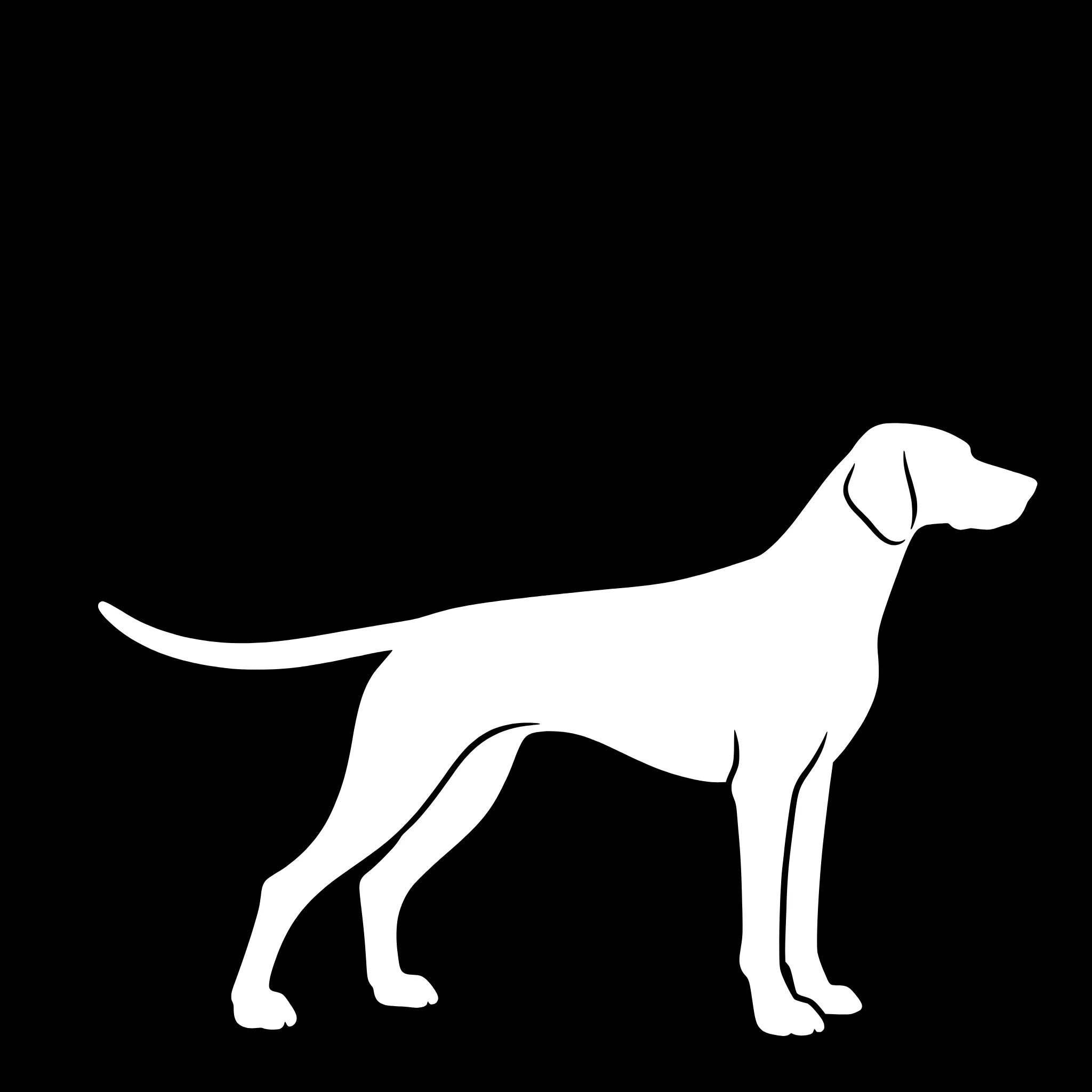 Duitse Kortharige Staande Hond – Enkelen Motief Sticker