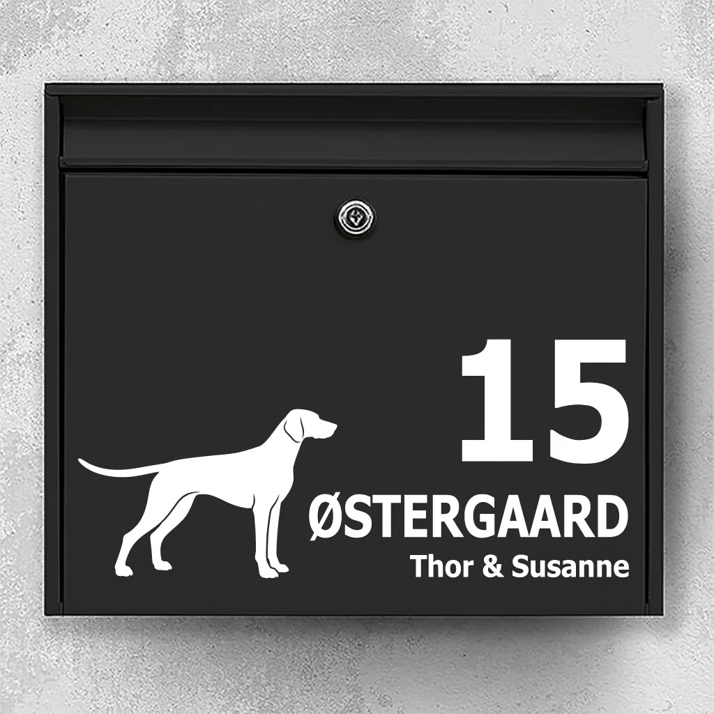 Brievenbussticker met Duitse Staande Korthaar